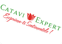Catavi Expert