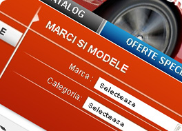 Dezmembrari Auto Website